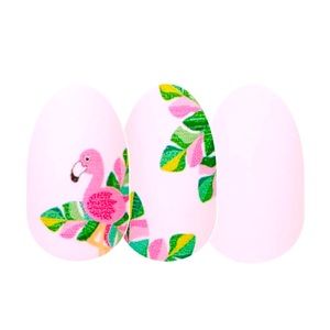 Color Street nail strips RETIRED Flamin-Goals